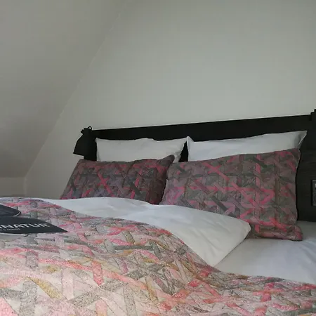 斯凯里尔之家西纳图尔会议中心酒店 酒店