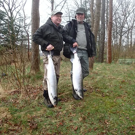 酒店 斯凯里尔之家西纳图尔会议中心酒店 3*